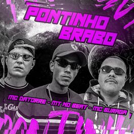 Album cover of Pontinho Brabo