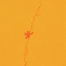 Album cover of yellow hills