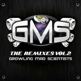 Album cover of The Remixes, Vol. 2