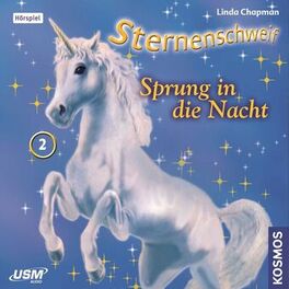 Album cover of Teil 2: Sprung in die Nacht