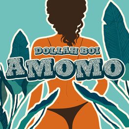 Album cover of Amomo