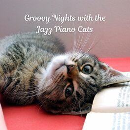 Album cover of Groovy Nights with the Jazz Piano Cats