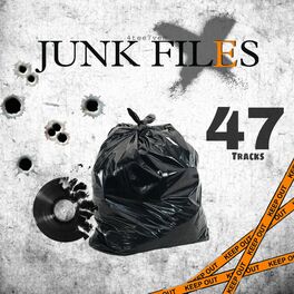 Album cover of JUNK FILES