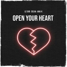 Album cover of Open Your Heart