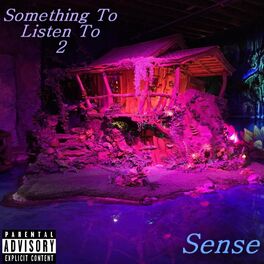 Album cover of Something To Listen To 2