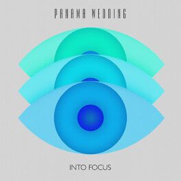 Album cover of Into Focus