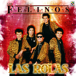 Los Felinos - Las Rolas: letras y canciones | Escúchalas en Deezer