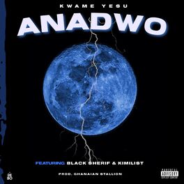 Album cover of ANADWO
