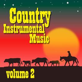 Album cover of Country Instrumental Music Volume Two
