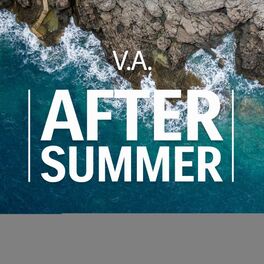 Album cover of After Summer