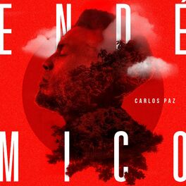 Album cover of Endémico