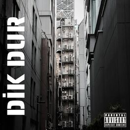 Album cover of Dik Dur