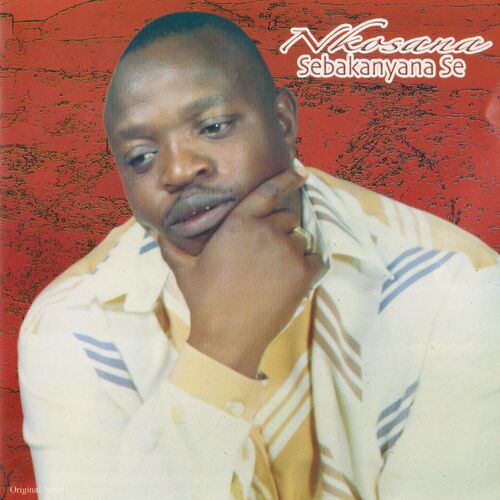 Nkosana - Sebakanyana Se: lyrics and songs | Deezer