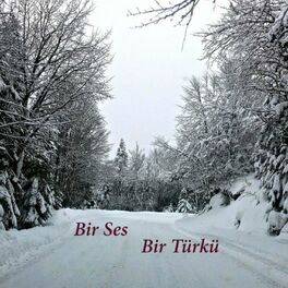 Album cover of Bir Ses Bir Türkü