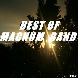 Album cover of Best of magnum band (Vol.2)
