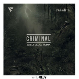 Album cover of Criminal (Wildfellaz Remix)