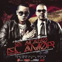 Album cover of Se Acabo el Amor (Remix)