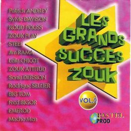 Album cover of Les grands succès zouk, vol. 2
