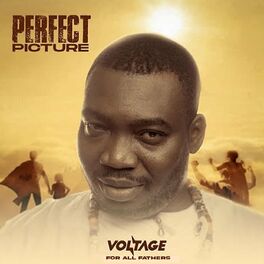 Album cover of Perfect Picture (For All Fathers)