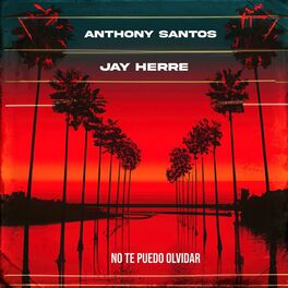 Album cover of No Te Puedo Olvidar