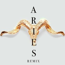 Album cover of Aries (Remix)