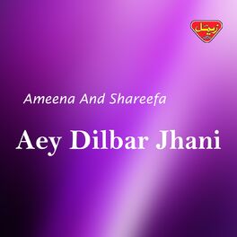 Album cover of Aey Dilbar Jhani