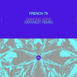 Album cover of Diamond Veins (feat. Sarah Rebecca) (VER:WEST Remix)