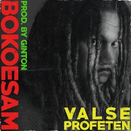 Album cover of Valse Profeten