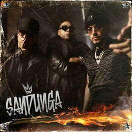 Album cover of SANDUNGA