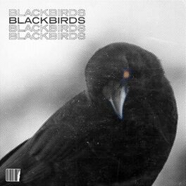 Album cover of Blackbirds Pt. 2