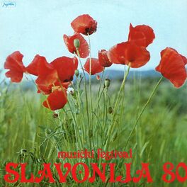 Album cover of MUZIČKI FESTIVAL SLAVONIJA '80