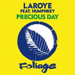 Album cover of Precious Day