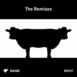 Album cover of The Remixes