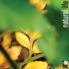 Album cover of Natural Life