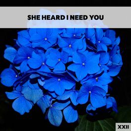 Album cover of She Heard I Need You XXII