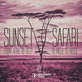 Album cover of Sunset Safari, Vol. 7