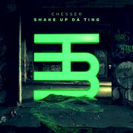 Album cover of Shake Up Da Ting