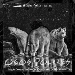 Album cover of Osos Polares