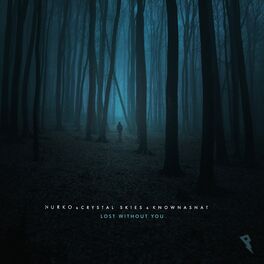 Album cover of Lost Without You