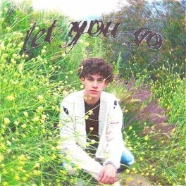 Album cover of let you go