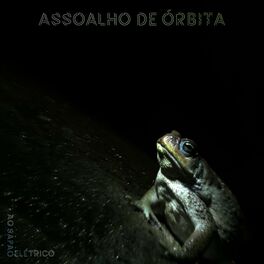 Album cover of Ao Sapão Elétrico