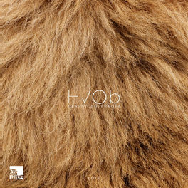 Album cover of Lion