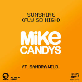 Album cover of Sunshine (Fly So High) [feat. Sandra Wild] - EP