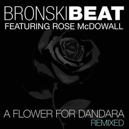 Album cover of A Flower for Dandara (feat. Rose McDowall) (Remixed)