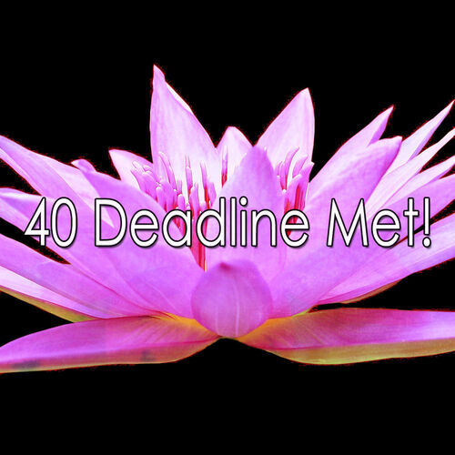 Entspannungsmusik 40 Deadline Met Music Streaming Listen On Deezer