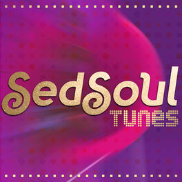 Album cover of SedSoul Tunes