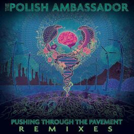 Album cover of Pushing Through the Pavement (Remixes)