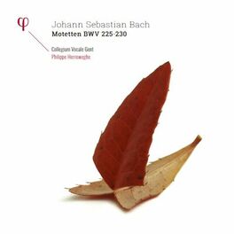 Album cover of Bach: Motetten, BWV 225-230