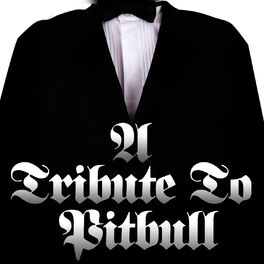 Album cover of A Tribute to Pitbull