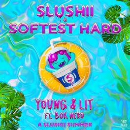 Album cover of Young & Lit
